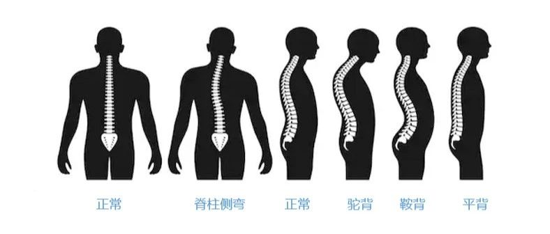 外科学#内科#健康知识#